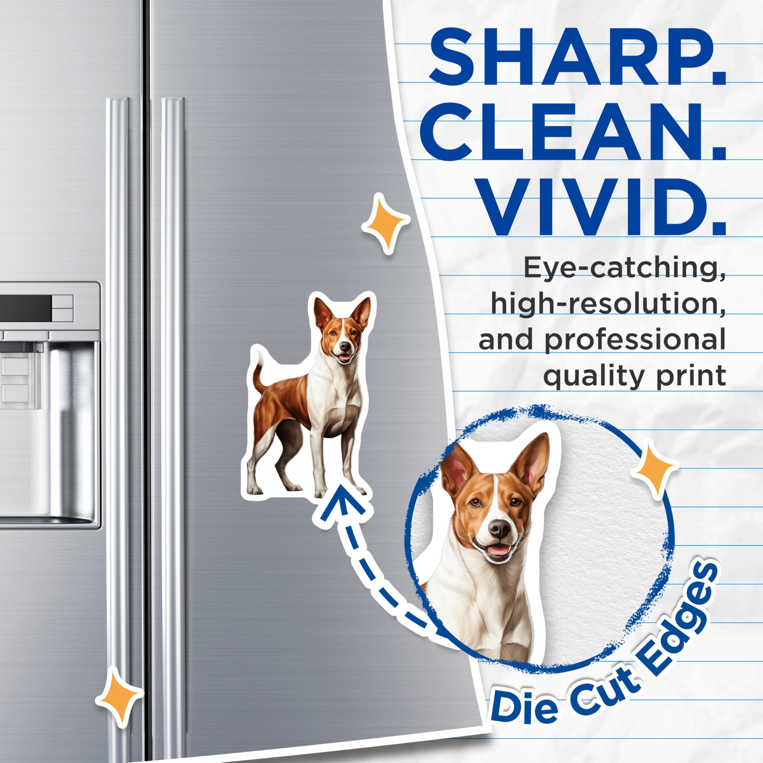 (2 Pack) Basenji Dog Magnets - Unique Pet Lover Decor for Kitchen Fridge - Happy Canine Art Home Accessories - 5 Inches On Longest Side - Thick Durable Magnet - Made in USA - MAG30675
