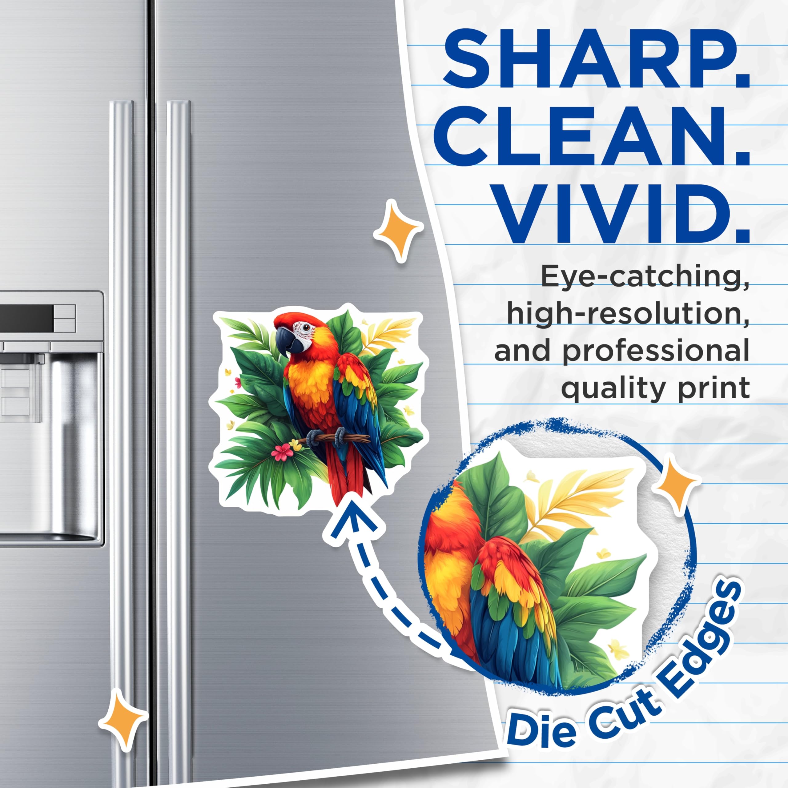 (2 Pack) Scarlet Macaw Parrot Magnets - Colorful Tropical Bird Art - Exotic Jungle Wildlife Nature Decor Display - 5 Inches On Longest Side - Thick Durable Magnet - Made in USA - MAG24118