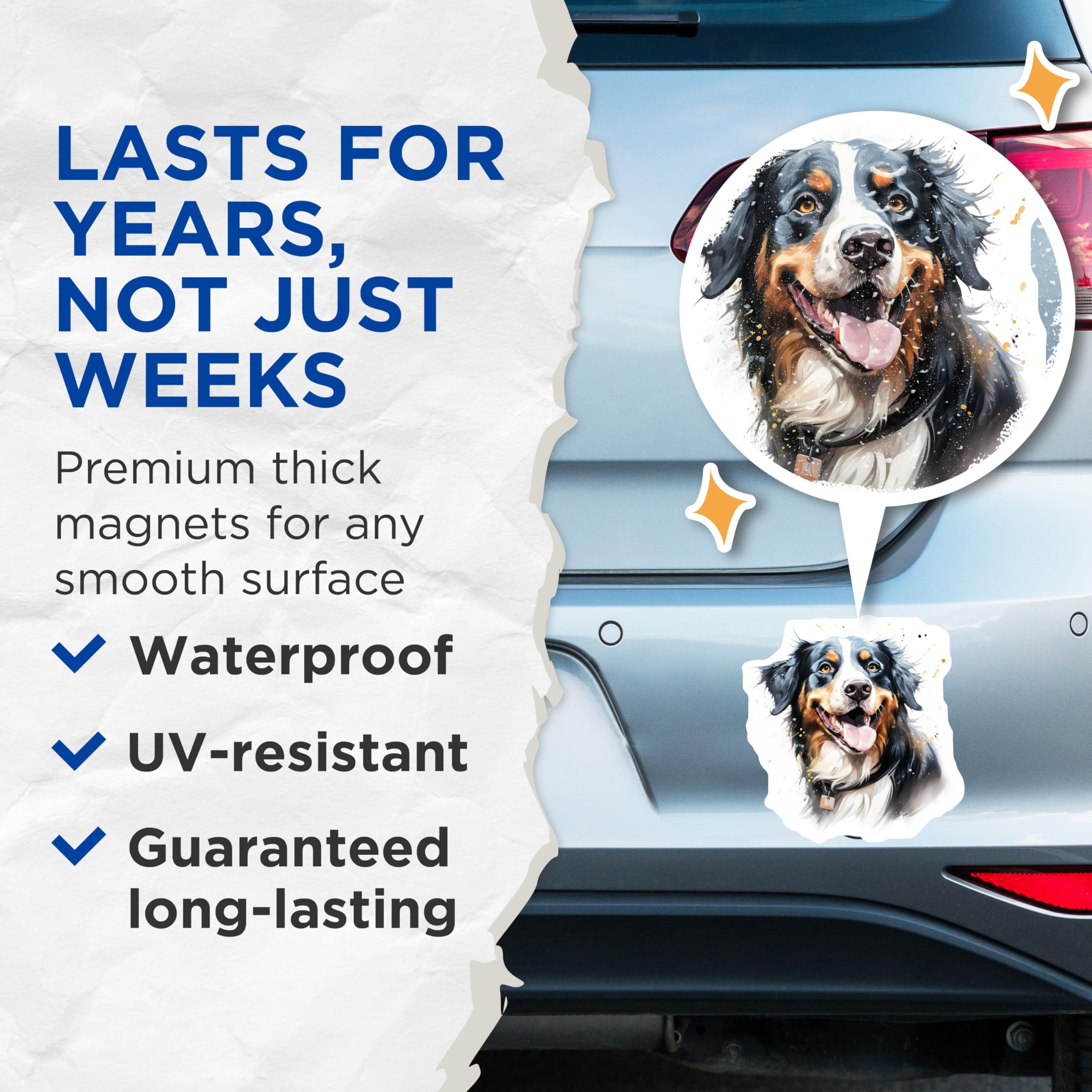 (2 Pack) Bernese Mountain Dog Magnets - Watercolor Dog Art - Happy Bernese Pet Lover Fridge Decor Animal Art - 5 Inches On Longest Side - Thick Durable Magnet - Made in USA - MAG26992