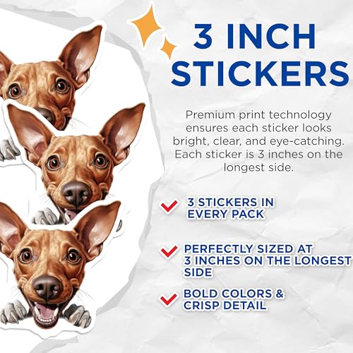 (3 Pack) Funny Dog Decals - Laptop Decal - Car Decal - 3 Inches On Longest Side - Easy Peel & Apply - Made in USA - 3MCS8698