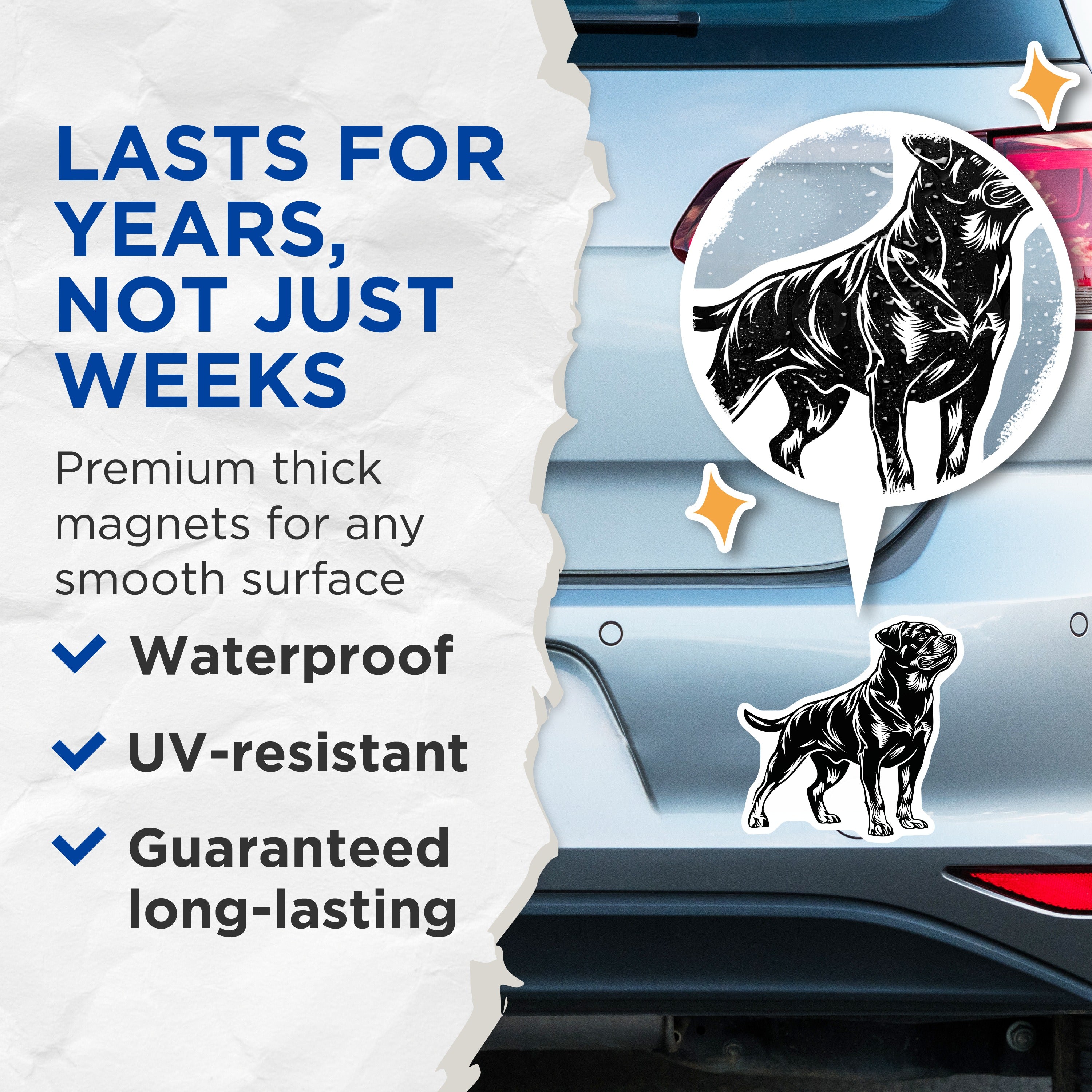 (2 Pack) Rottweiler Magnets - Dog Breed Art - Pet Lover Fridge Decor for Dog Moms Dads - 5 Inches On Longest Side - Thick Durable Magnet - Made in USA - MAG37120