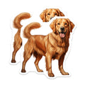 (2 Pack) Golden Retriever Dog Magnets - Smiling Doggie Fridge Decor - Pet Enthusiast Kitchen Accessory - 5 Inches On Longest Side - Thick Durable Magnet - Made in USA - MAG24461