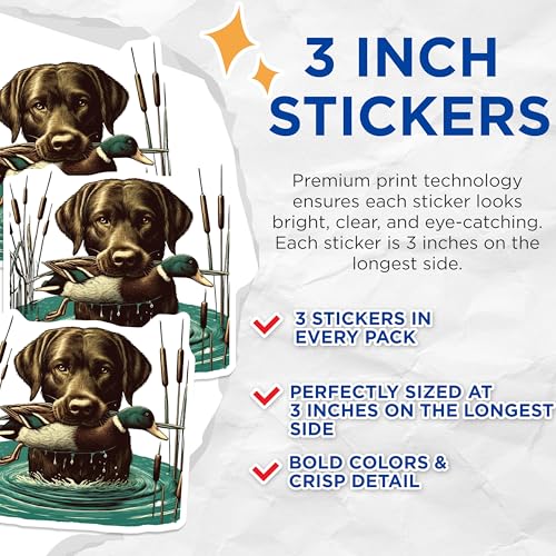 (3 Pack) Duck Hunting Dog Decals - Labrador Retriever - Waterscape Decal - 3 Inches On Longest Side - Easy Peel & Apply - Made in USA - 3MCS4799