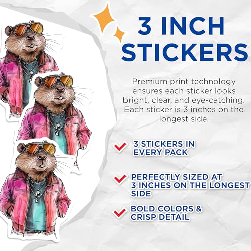 (3 Pack) Groundhog Decals - Cool Groundhog - Laptop Decals - 3 Inches On Longest Side - Easy Peel & Apply - Made in USA - 3MCS8277