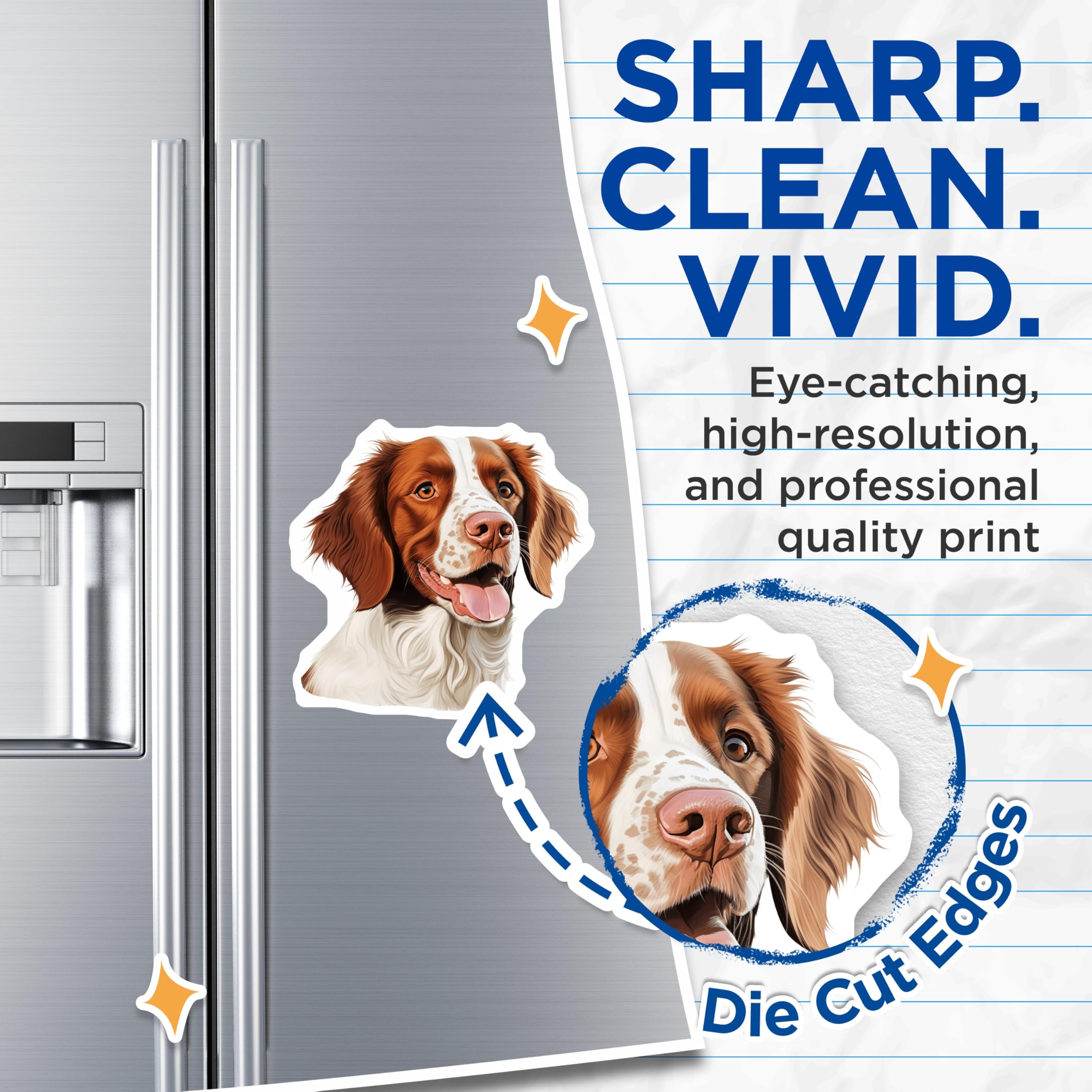 (2 Pack) Brittany Spaniel Magnets - Dog Art Illustration - Pet Lover Decor Kitchen Refrigerator - 5 Inches On Longest Side - Thick Durable Magnet - Made in USA - MAG24596