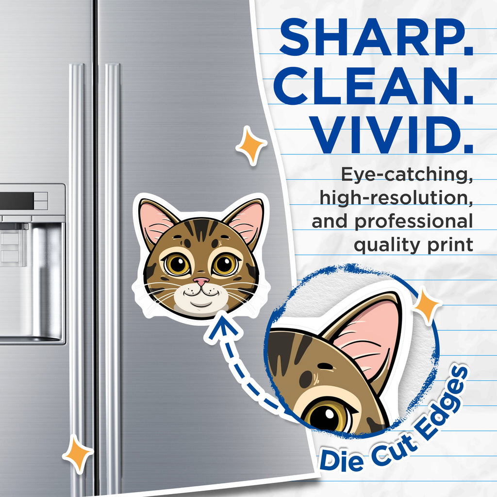 (2 Pack) Cute Cat Face Magnets - Tabby Cat Decor - Animal Lover Refrigerator Locker Magnet - 5 Inches On Longest Side - Thick Durable Magnet - Made in USA - MAG36590
