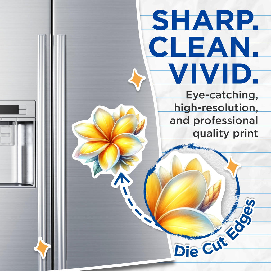 (2 Pack) Plumeria Blossom Magnets - Exotic Hawaiian Floral Decor - Refrigerator Accent Locker Whiteboard Art - 5 Inches On Longest Side - Thick Durable Magnet - Made in USA - MAG21962