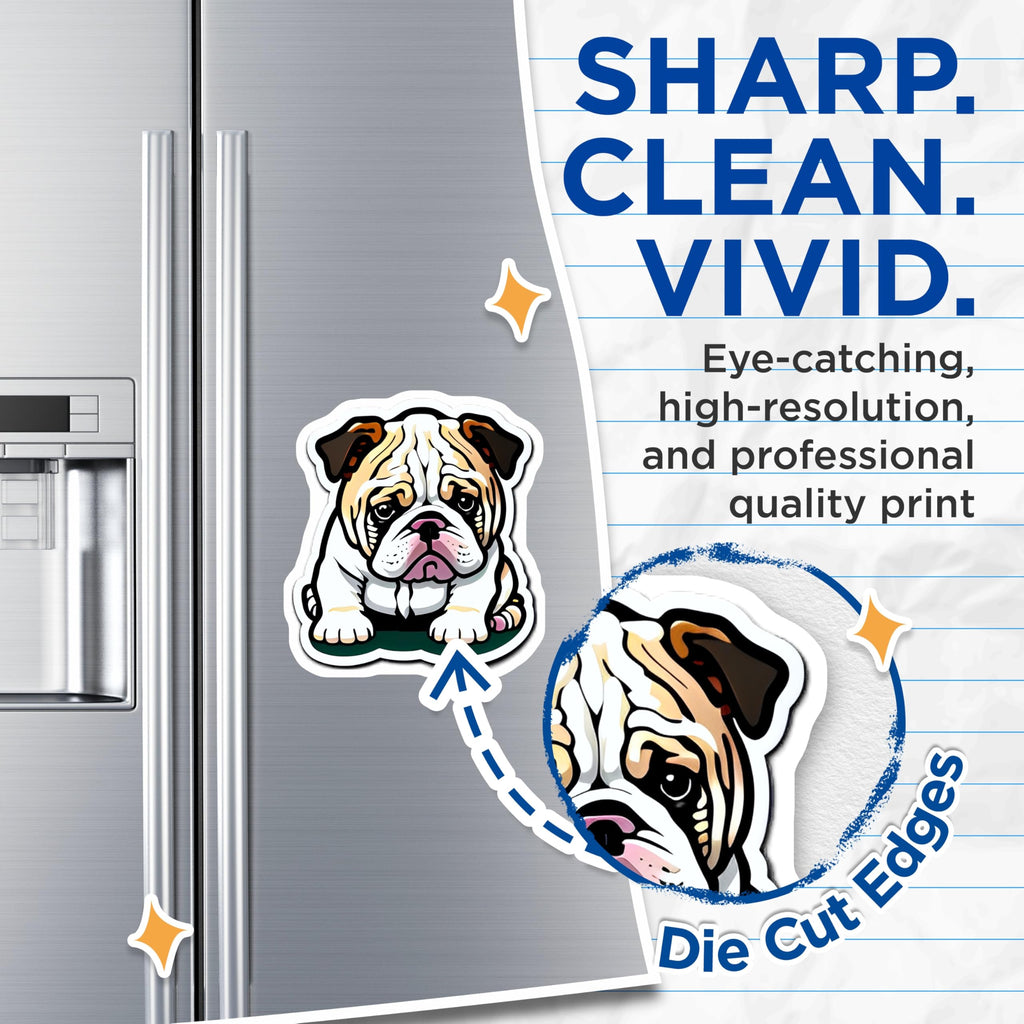 (2 Pack) English Bulldog Magnets - Cute Puppy Dog Decor - Animal Lover Fridge Accent - Canine Pet Refrigerator Display - 5 Inches On Longest Side - Thick Durable Magnet - Made in USA - MAG20636