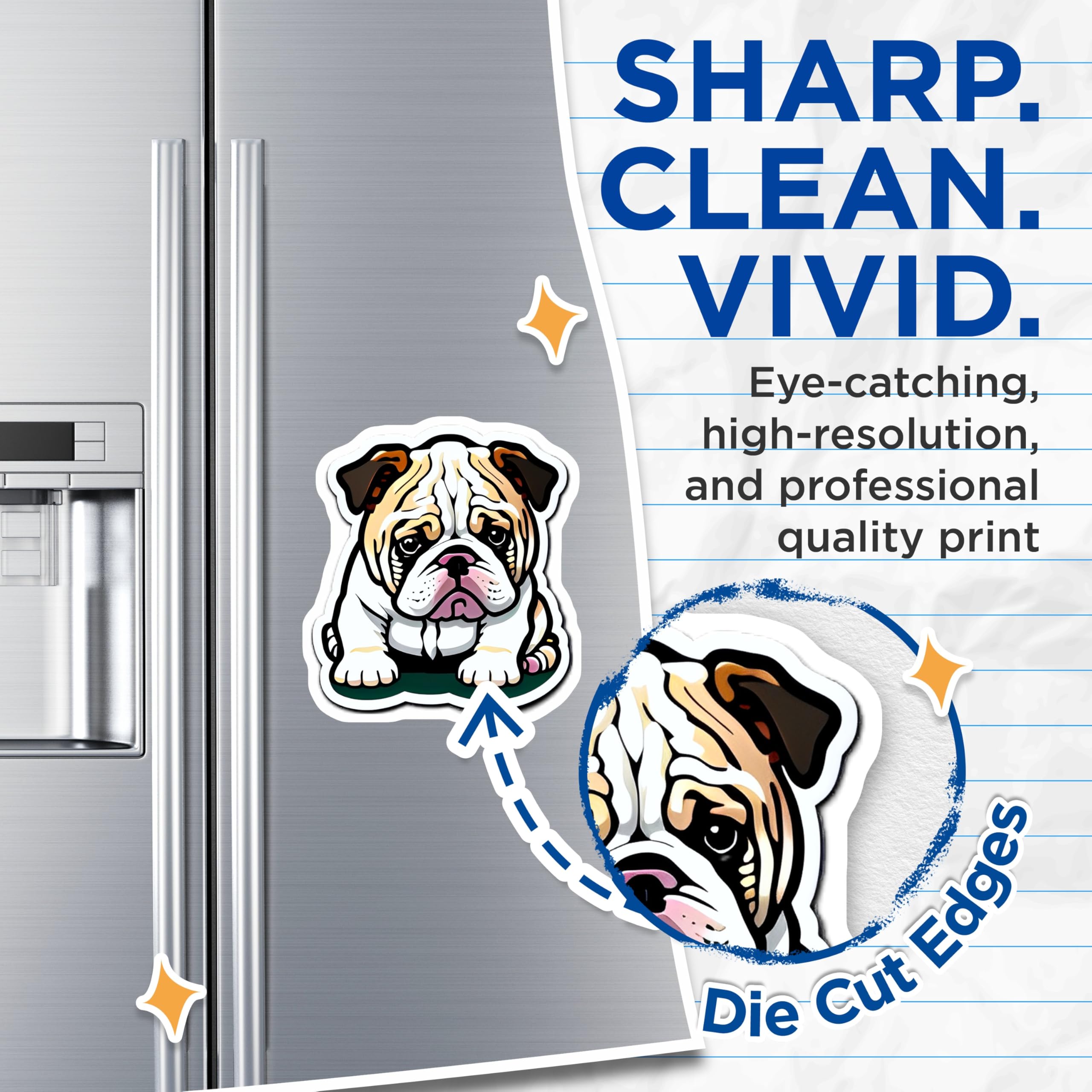 (2 Pack) English Bulldog Magnets - Cute Puppy Dog Decor - Animal Lover Fridge Accent - Canine Pet Refrigerator Display - 5 Inches On Longest Side - Thick Durable Magnet - Made in USA - MAG20636