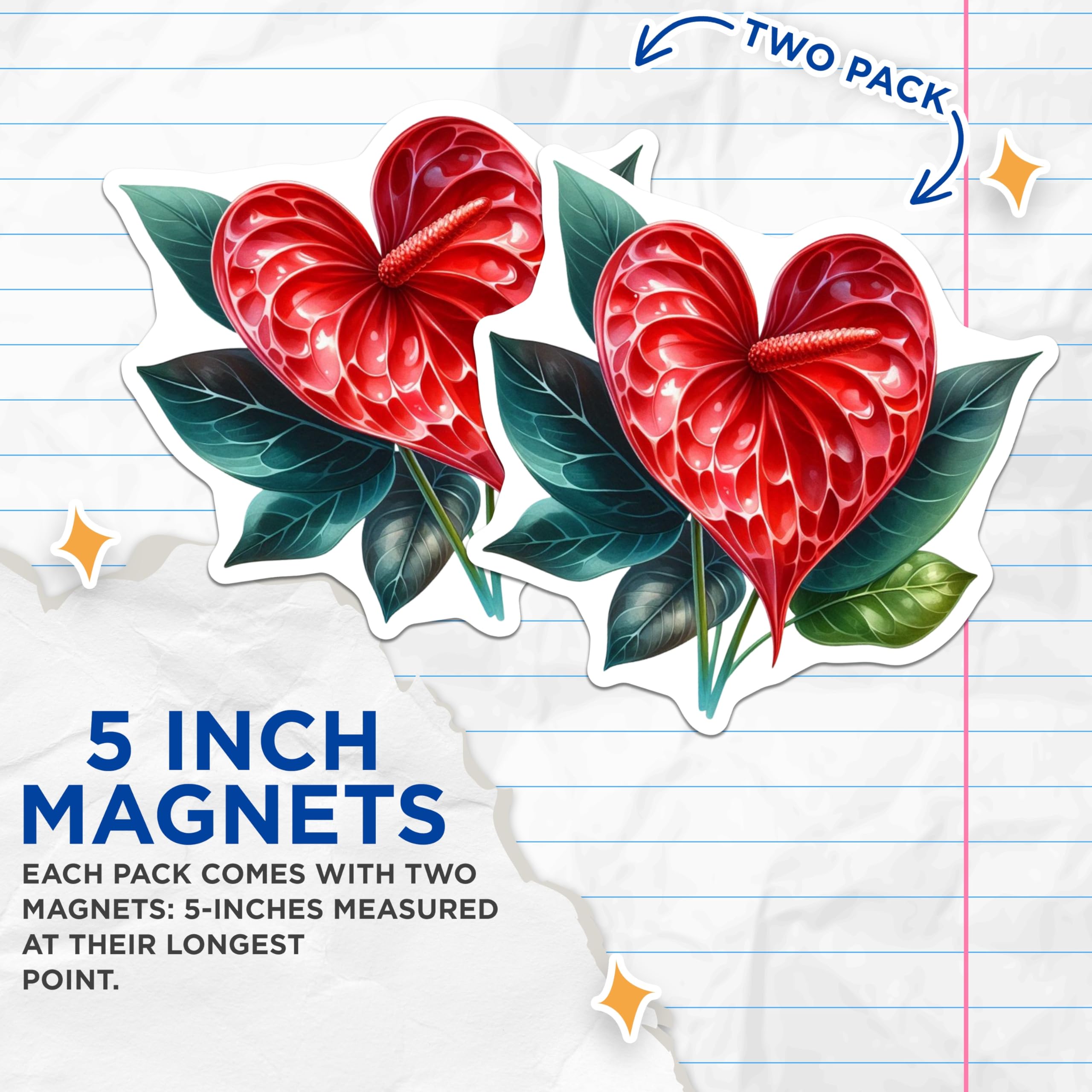 (2 Pack) Anthurium Flower Magnets - Vivid Red Heart Bloom - Exotic Tropical Plant Art - Botanical Kitchen Locker Decor - 5 Inches On Longest Side - Thick Durable Magnet - Made in USA - MAG21058