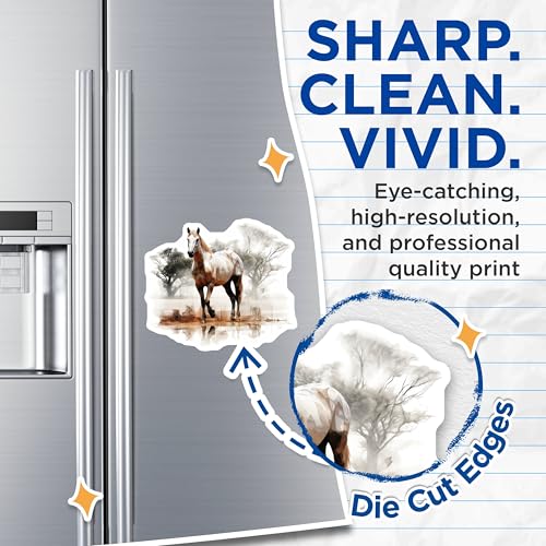 (2 Pack) Majestic Horse Art Magnets - Horse for Home - Animal Lovers Collectibles - 5" On Longest Side - for Cars, Fridges, Toolboxes - Made in USA - MAG3800