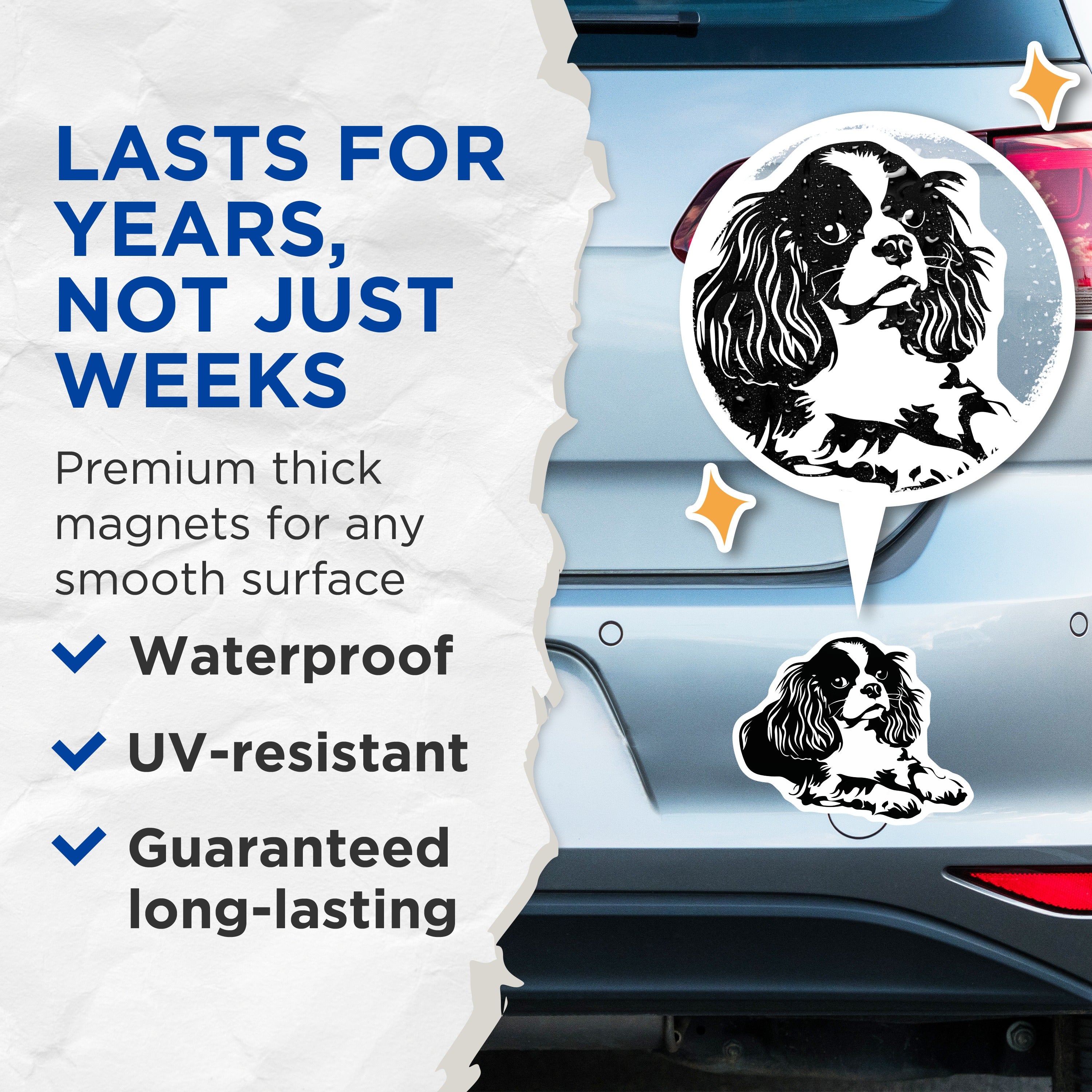 (2 Pack) Cavalier King Charles Spaniel Magnets - Dog Mom Accessories - Pet Lover Decor for Fridge - 5 Inches On Longest Side - Thick Durable Magnet - Made in USA - MAG38278