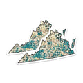 (2 Pack) Virginia State Stickers - Distressed Texture Stickers - Travel Souvenir Stickers - 5" On Longest Side - Sticks to Smooth Flat Surfaces - Made in USA - BMCS17902