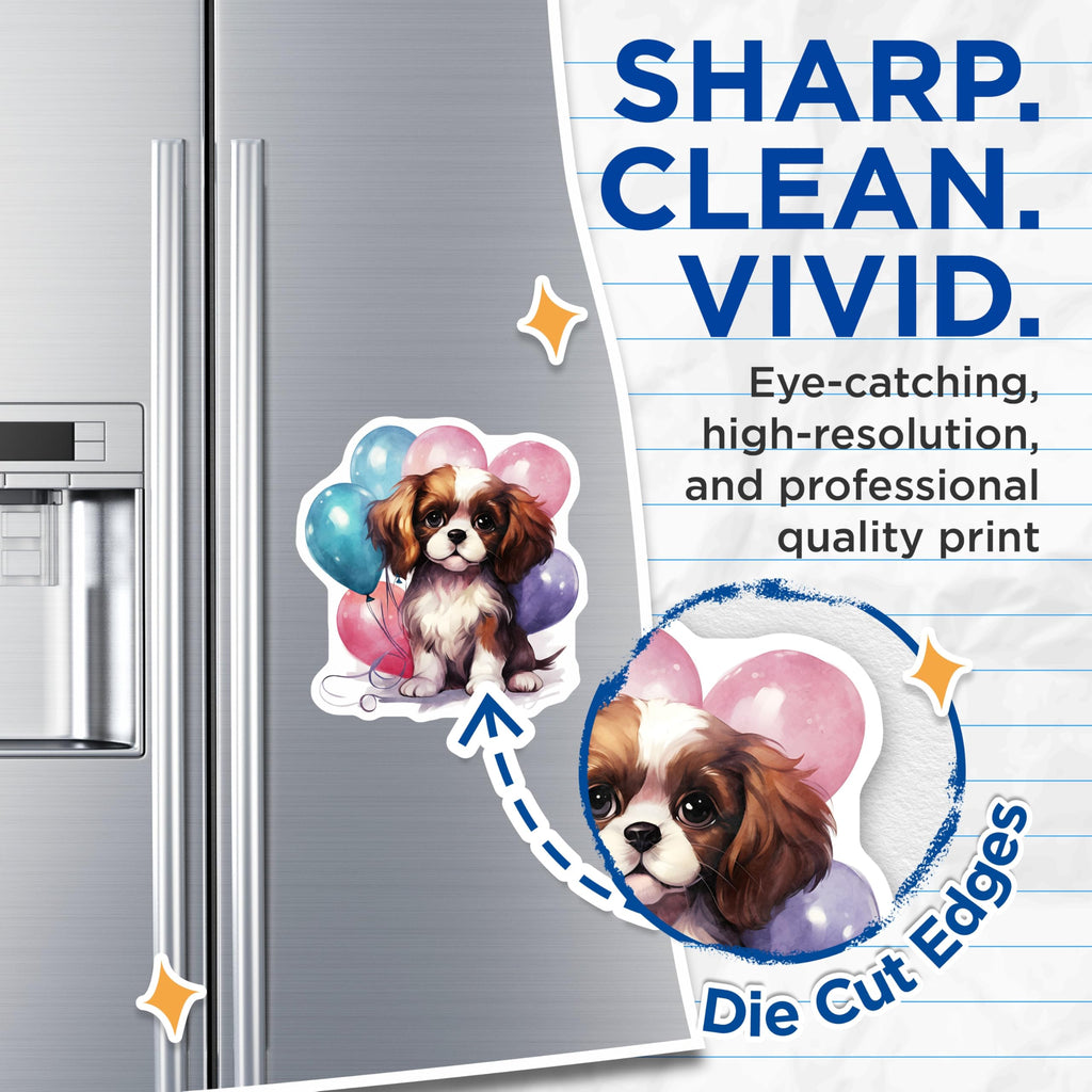 (2 Pack) Cavalier Dog Magnets - Puppy Balloons Illustration - Fridge Decor - 5" On Longest Side - Premium Magnet - for Cars, Refrigerators, Toolboxes, Lockers - Made in USA - MAG16496