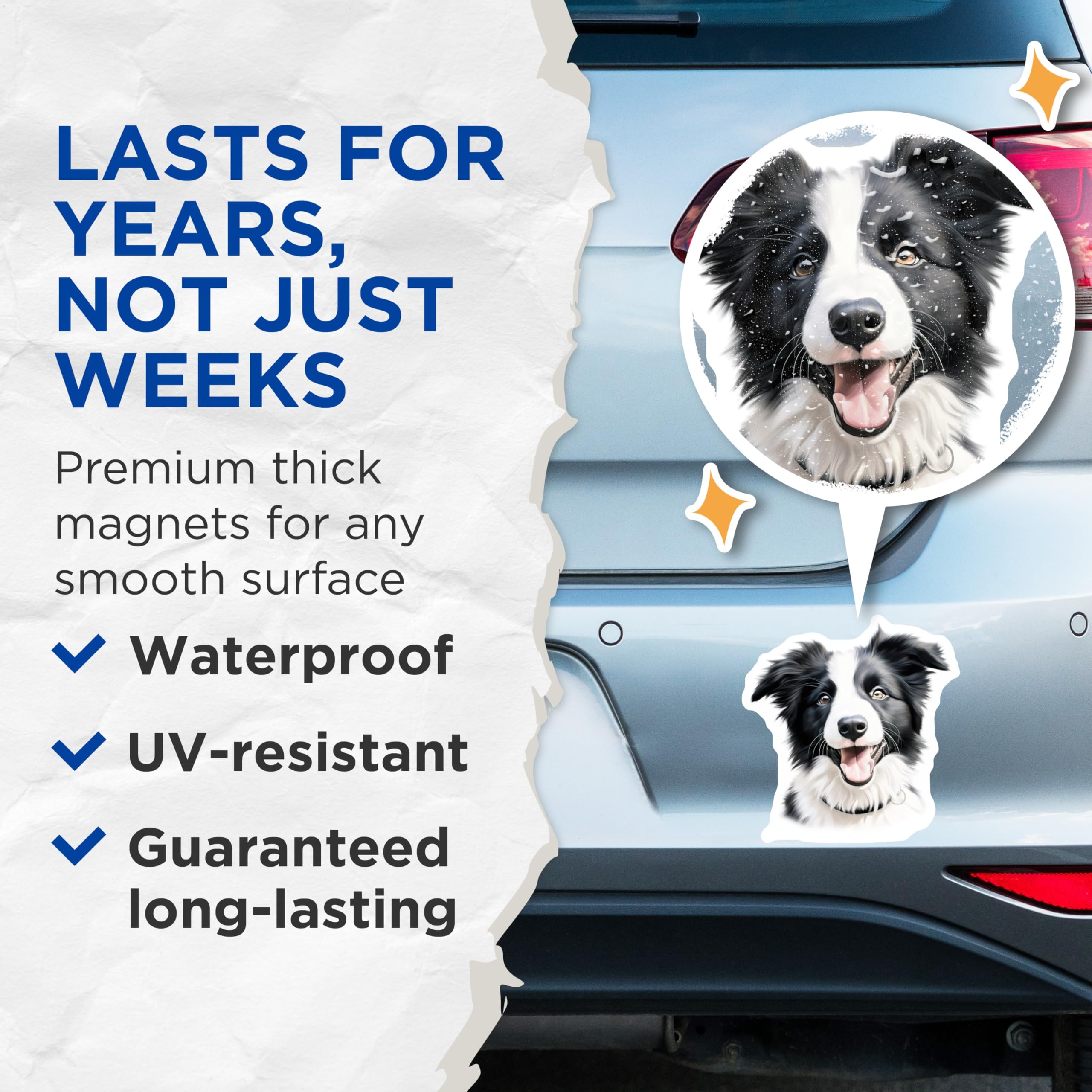 (2 Pack) Border Collie Magnets - Happy Dog Lover Decor - Pet Parent Refrigerator Locker Home Accent Collectibles - 5 Inches On Longest Side - Thick Durable Magnet - Made in USA - MAG25607