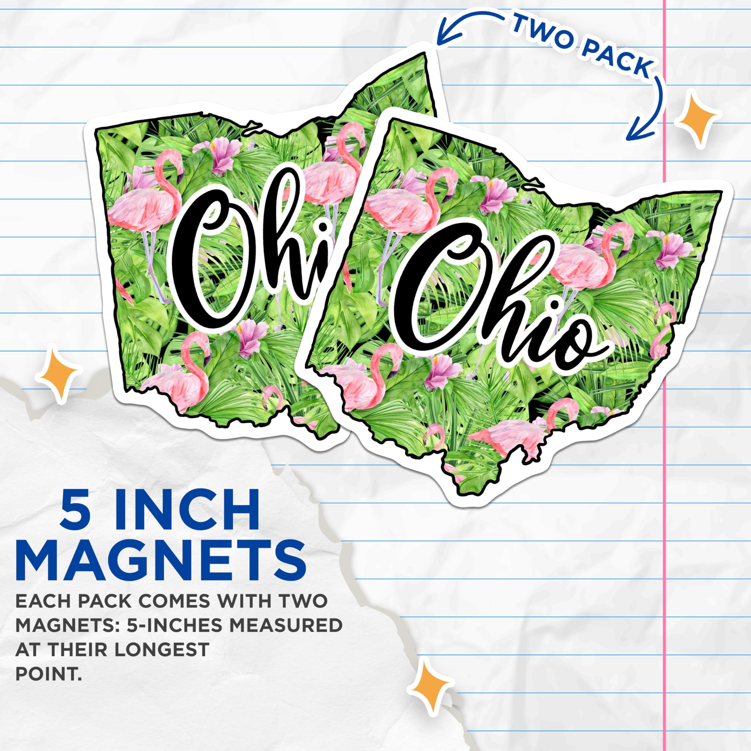 (2 Pack) Ohio Flamingo Magnets - State Pride - Tropical Decor Souvenir - 5" On Longest Side - Premium Magnet - for Cars, Refrigerators, Toolboxes, Lockers - Made in USA - MAG17696