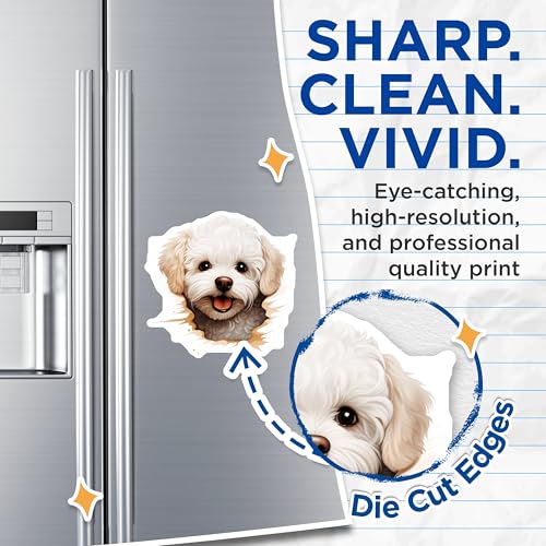 (2 Pack) Adorable Dog Fridge Decoration Magnet - Pet Lovers Kitchen Decor - 5" On Longest Side - Sticks to Smooth Flat Surfaces - Made in USA - MAG9870
