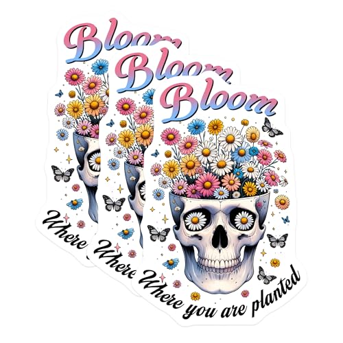 (3 Pack) Skull with Daisies Decals - Laptop Decals - Floral Skull Stickers - 3 Inches On Longest Side - Easy Peel & Apply - Made in USA - 3MCS6146