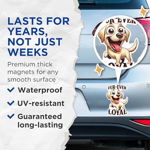 (2 Packs) Fur-Ever Loyal Golden Lab Magnets - Lab Dog Breed Magnets - 5 Inches On Longest Side - Premium Magnet - for Fridges, Toolboxes, Cars - Made in USA - MAG2412
