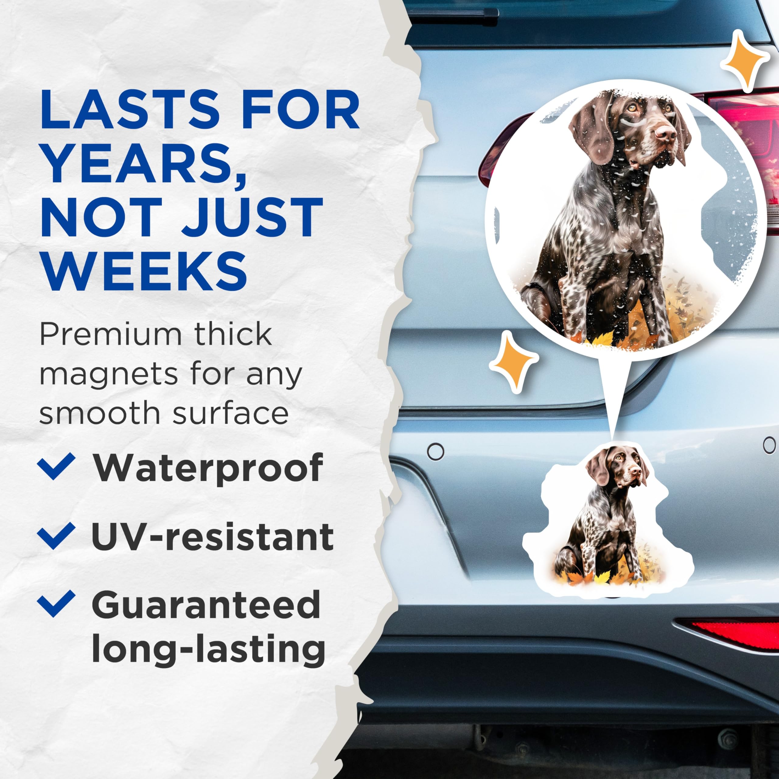 (2 Pack) German Shorthaired Pointer Magnets - GSP Dog Art - Hunter Pet Lover Decor - 5 Inches On Longest Side - Thick Durable Magnet - Made in USA - MAG25810
