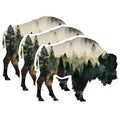 (3 Pack) Buffalo Decals - Nature Forest Animal Decals - Laptop Car Decals - 3 Inches On Longest Side - Easy Peel & Apply - Made in USA - 3MCS0616