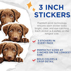 (3 Pack) Chocolate Labrador Decals - Cute Puppy Stickers - Dog Breed Decals - 3 Inches On Longest Side - Easy Peel & Apply - Made in USA - 3MCS8691
