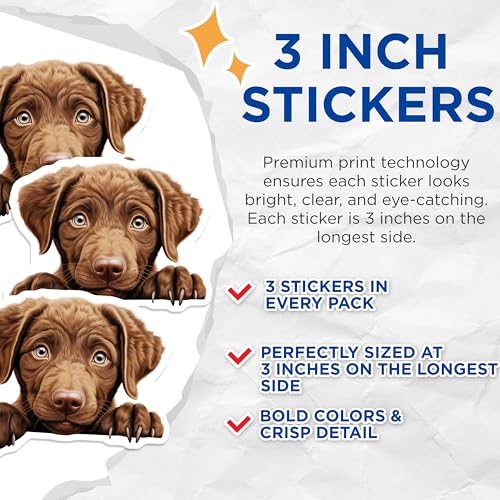 (3 Pack) Chocolate Labrador Decals - Cute Puppy Stickers - Dog Breed Decals - 3 Inches On Longest Side - Easy Peel & Apply - Made in USA - 3MCS8691