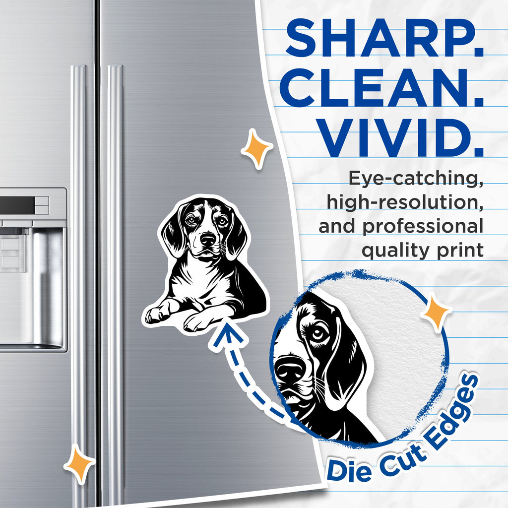 (2 Pack) Beagle Dog Magnets - Dog Lover Pet Owner Home Decor - Canine Friend Refrigerator Accessory - Animal Art - 5 Inches On Longest Side - Thick Durable Magnet - Made in USA - MAG36115