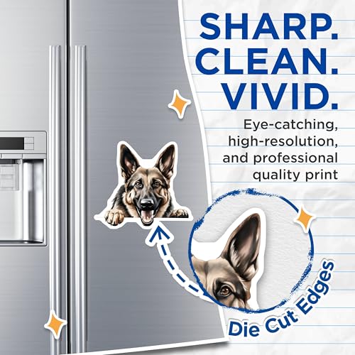 (2 Pack) Dog Lover Home Decor Magnet - 5" On Longest Side - Sticks to Smooth Flat Surfaces - Made in USA - MAG10174