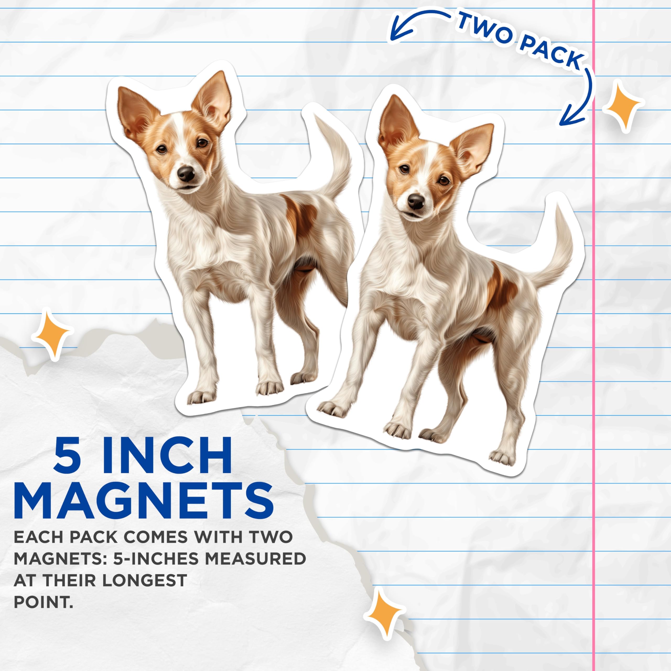 (2 Pack) Jack Russell Terrier Magnets - Cute Dog Lover Fridge Decor - Pet Owner Kitchen Accessory - 5 Inches On Longest Side - Thick Durable Magnet - Made in USA - MAG28375