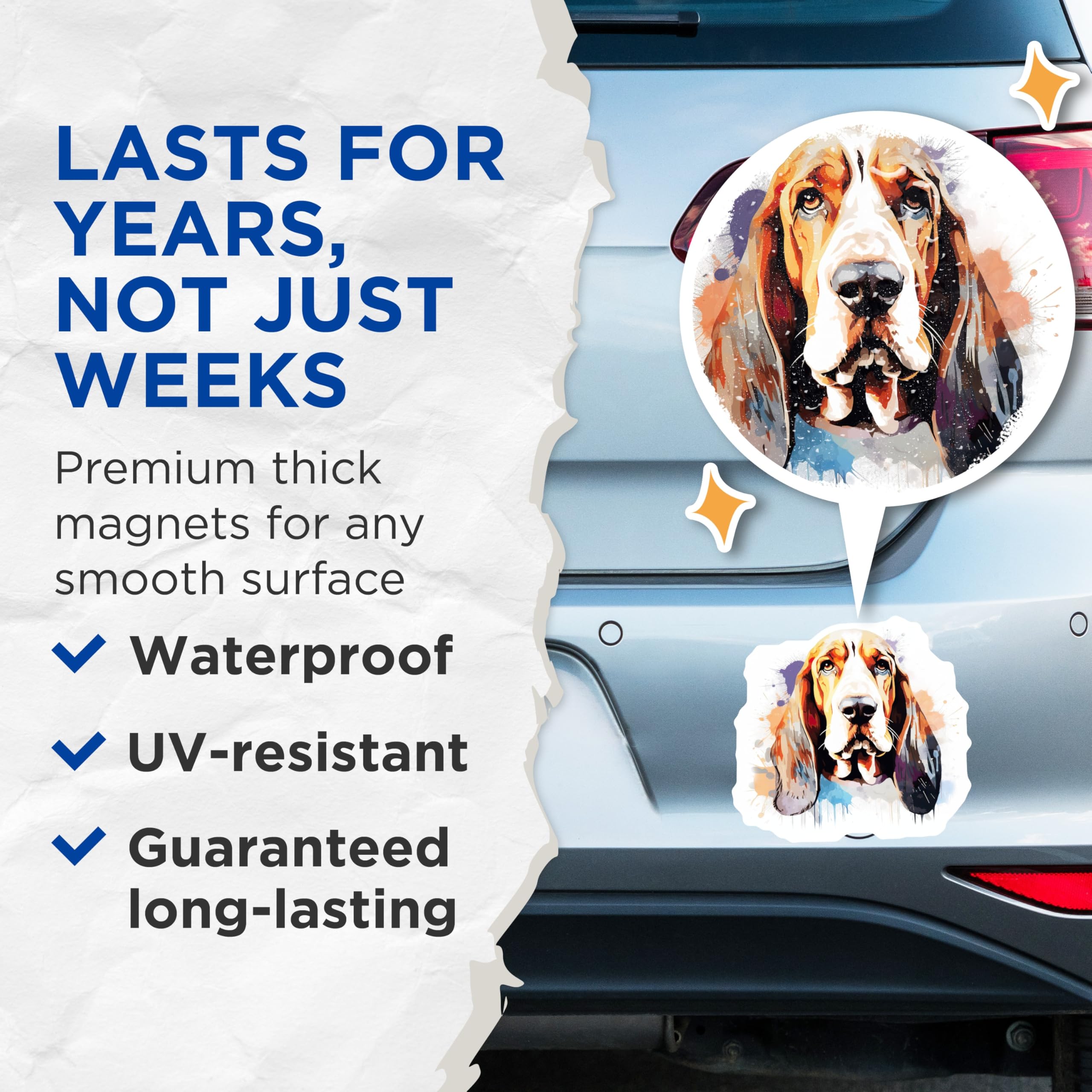(2 Pack) Basset Hound Dog Magnets - Watercolor Dog Art - Pet Lover Fridge Display - 5 Inches On Longest Side - Thick Durable Magnet - Made in USA - MAG23545