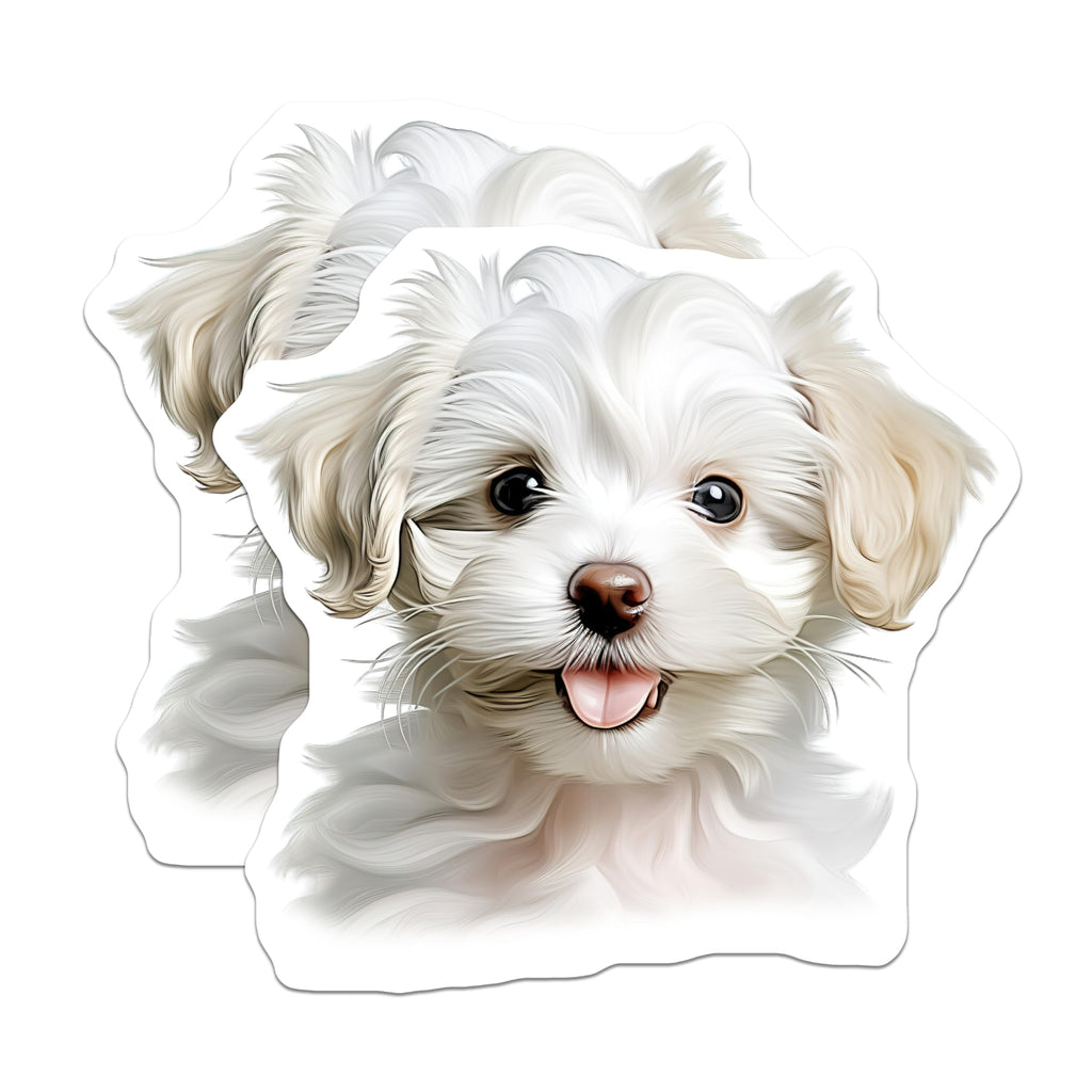 (2 Pack) Maltese Puppy Magnets - Cute Fluffy Dog Lover Decor - Charming Pet Refrigerator Locker Accent - 5 Inches On Longest Side - Thick Durable Magnet - Made in USA - MAG24481