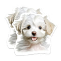 (2 Pack) Maltese Puppy Magnets - Cute Fluffy Dog Lover Decor - Charming Pet Refrigerator Locker Accent - 5 Inches On Longest Side - Thick Durable Magnet - Made in USA - MAG24481