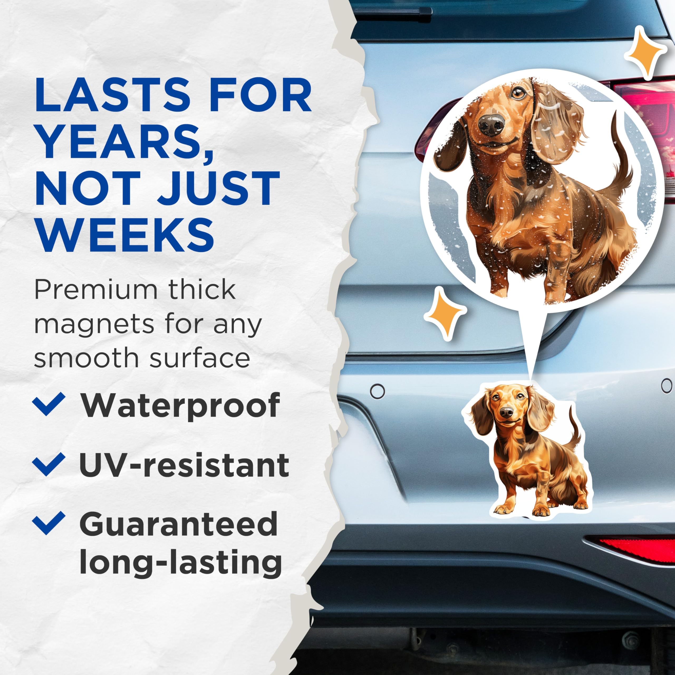 (2 Pack) Long Haired Dachshund Magnets - Cute Sausage Dog Art - Pet Lover Refrigerator Decor - 5 Inches On Longest Side - Thick Durable Magnet - Made in USA - MAG26437
