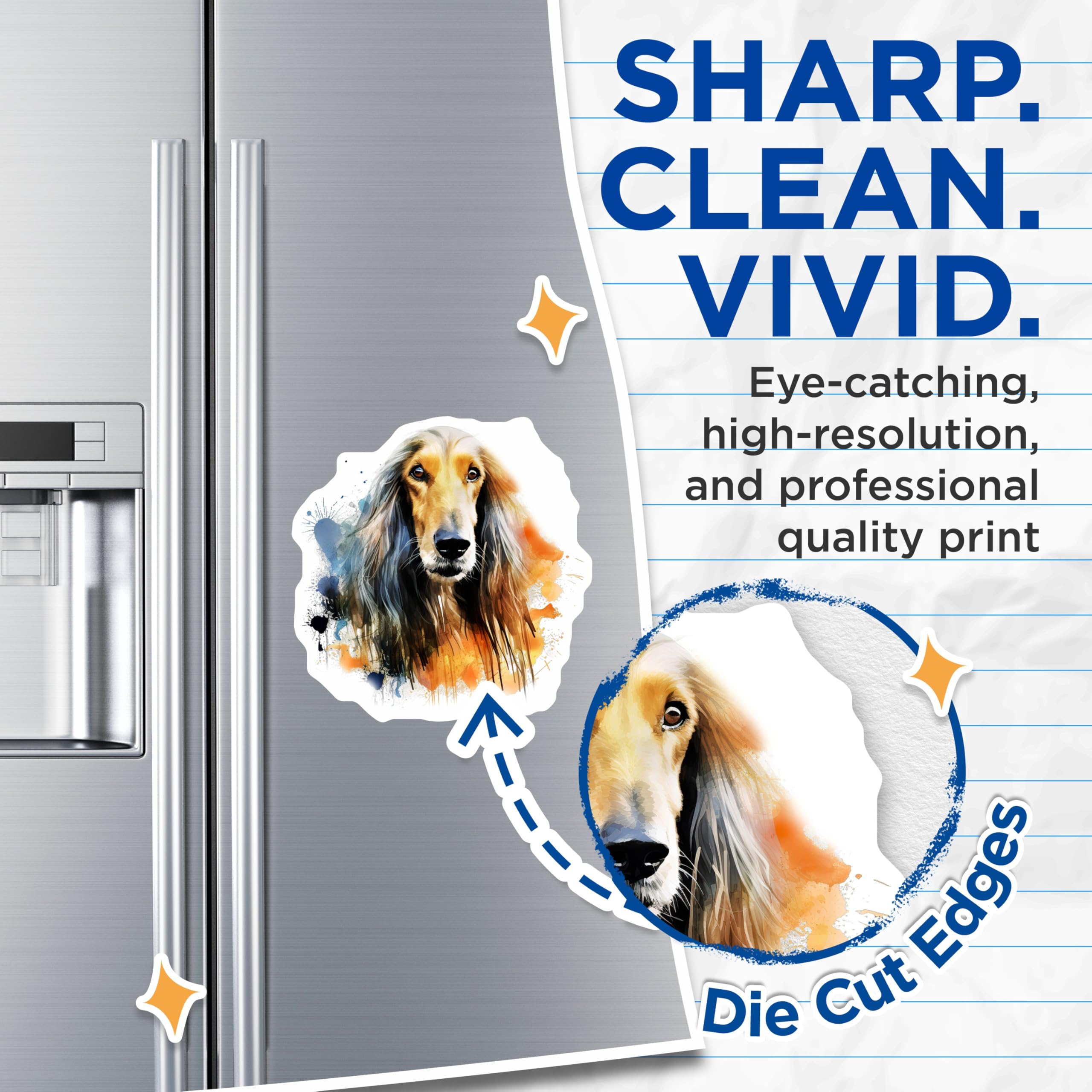 (2 Pack) Afghan Hound Magnets - Exquisite Watercolor Dog Art - Pet Lover Home Decor - Majestic Canine Sighthound Collectible - 5 Inches On Longest Side - Thick Durable Magnet - Made in USA - MAG24890