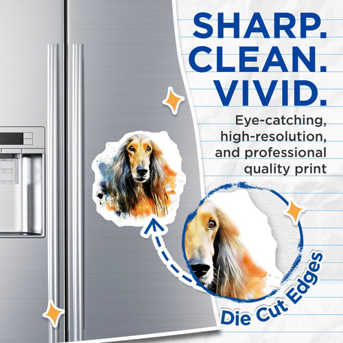 (2 Pack) Afghan Hound Magnets - Exquisite Watercolor Dog Art - Pet Lover Home Decor - Majestic Canine Sighthound Collectible - 5 Inches On Longest Side - Thick Durable Magnet - Made in USA - MAG24890