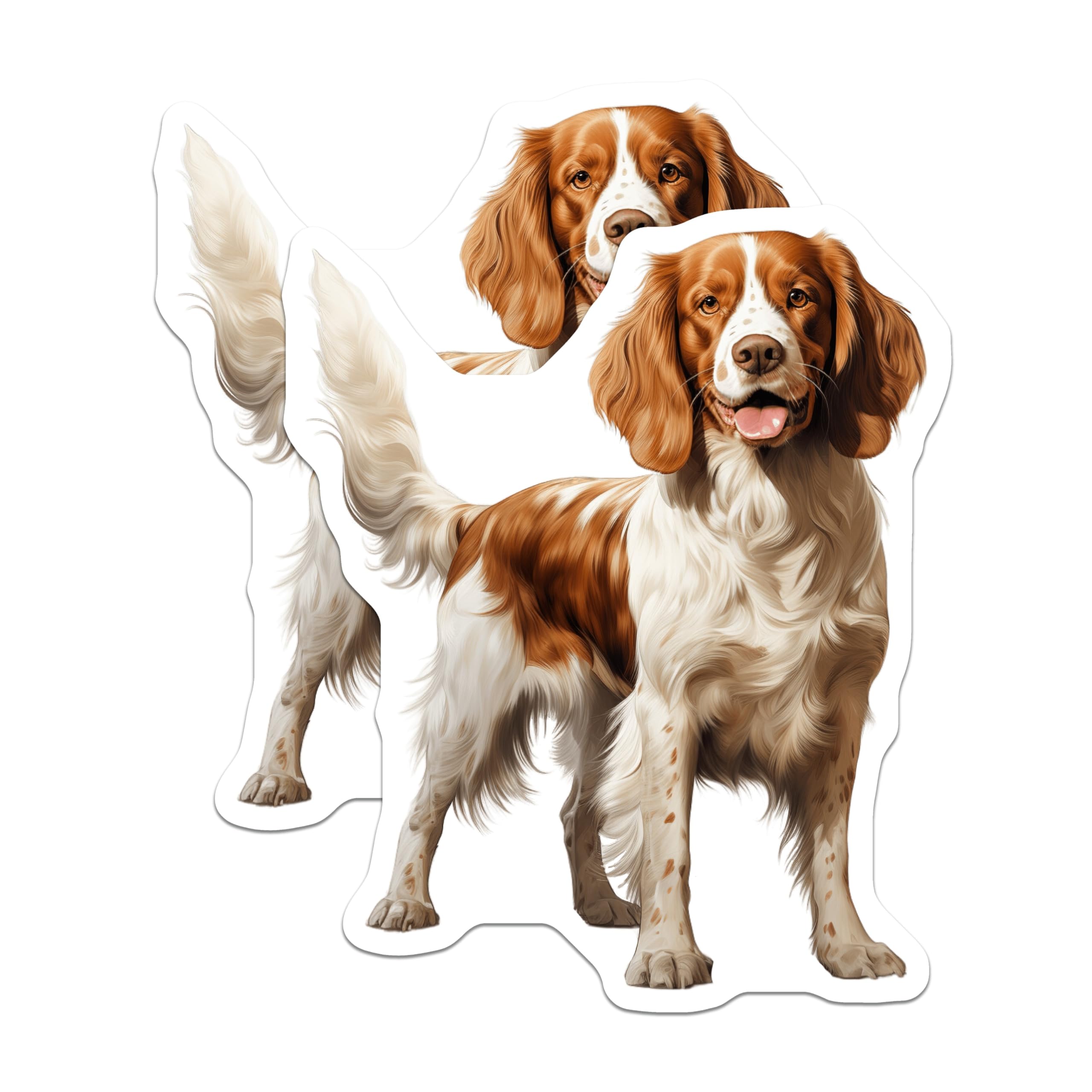 (2 Pack) Springer Spaniel Magnets - Brown White Dog Decor - Pet Owner Fridge Accessory - 5 Inches On Longest Side - Thick Durable Magnet - Made in USA - MAG30907