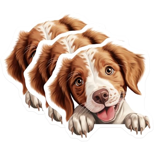 (3 Pack) Brittany Spaniel Decals - Cute Dog Breed Stickers - Laptop Decals - 3 Inches On Longest Side - Easy Peel & Apply - Made in USA - 3MCS8652
