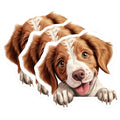 (3 Pack) Brittany Spaniel Decals - Cute Dog Breed Stickers - Laptop Decals - 3 Inches On Longest Side - Easy Peel & Apply - Made in USA - 3MCS8652
