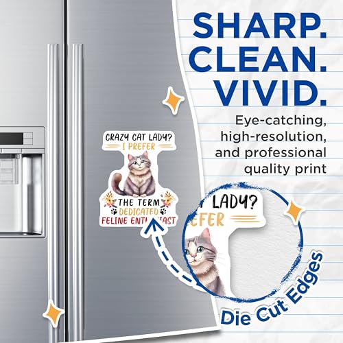(2 Pack) Crazy Cat Lady Magnets - Dedicated Feline Enthusiast - Cat Lover Home Decor - 5" On Longest Side - for Cars, Fridges, Toolboxes - Made in USA - MAG7728