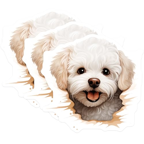 (3 Pack) Bichon Frise Decals - Cute Dog Stickers - Laptop Decal - 3 Inches On Longest Side - Easy Peel & Apply - Made in USA - 3MCS8633