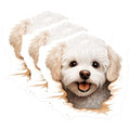 (3 Pack) Bichon Frise Decals - Cute Dog Stickers - Laptop Decal - 3 Inches On Longest Side - Easy Peel & Apply - Made in USA - 3MCS8633