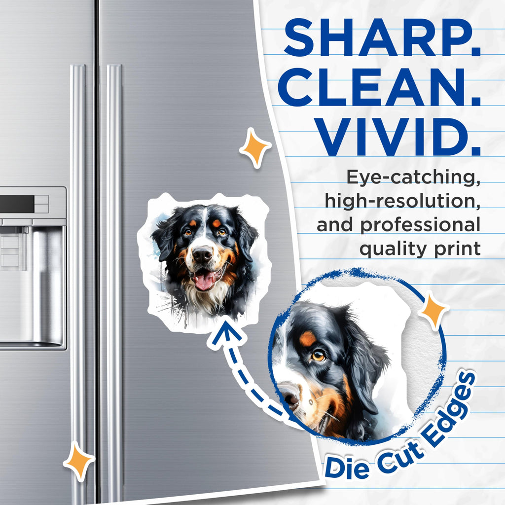 (2 Pack) Bernese Mountain Dog Magnets - Watercolor Dog Art - Pet Lover Home Decor - 5 Inches On Longest Side - Thick Durable Magnet - Made in USA - MAG29492