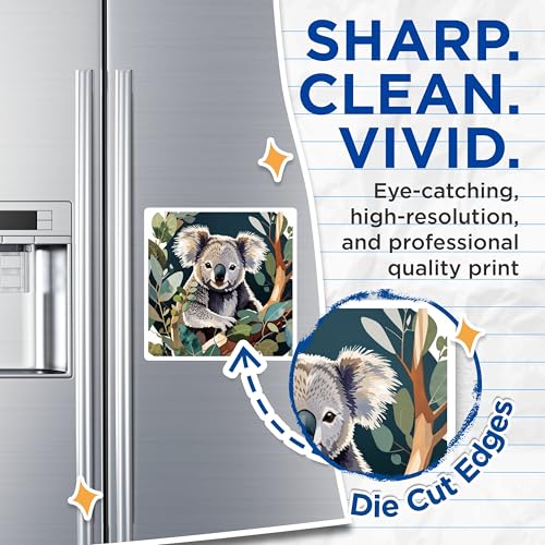 (2 Pack) Koala Bear Magnets Magnets - Cute Koala Animal Decor - 5" On Longest Side - Made in USA - Sticks to Refrigerators & Metal Surfaces - MAG8690