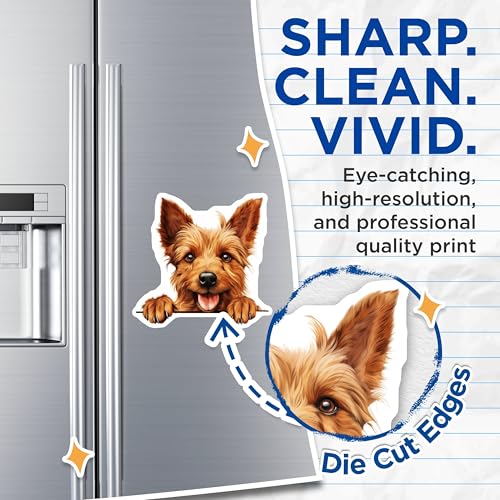 (2 Pack) Kitchen Decor Magnet - Animal Lover Gift - 5" On Longest Side - Sticks to Smooth Flat Surfaces - Made in USA - MAG9840