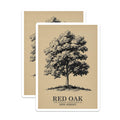 (2 Pack) Red Oak Tree Magnets - New Jersey Official State Tree - Botanical Illustration Magnets - Nature Lover Decor for Home - 5 Inches On Longest Side - Thick Durable Magnet - Made in USA - MAG19257
