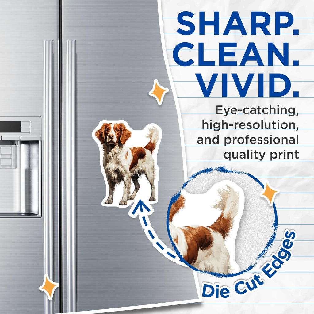 (2 Pack) Brittany Spaniel Magnets - Dog Lover Decor - Canine Breed Collectible - 5 Inches On Longest Side - Thick Durable Magnet - Made in USA - MAG24743