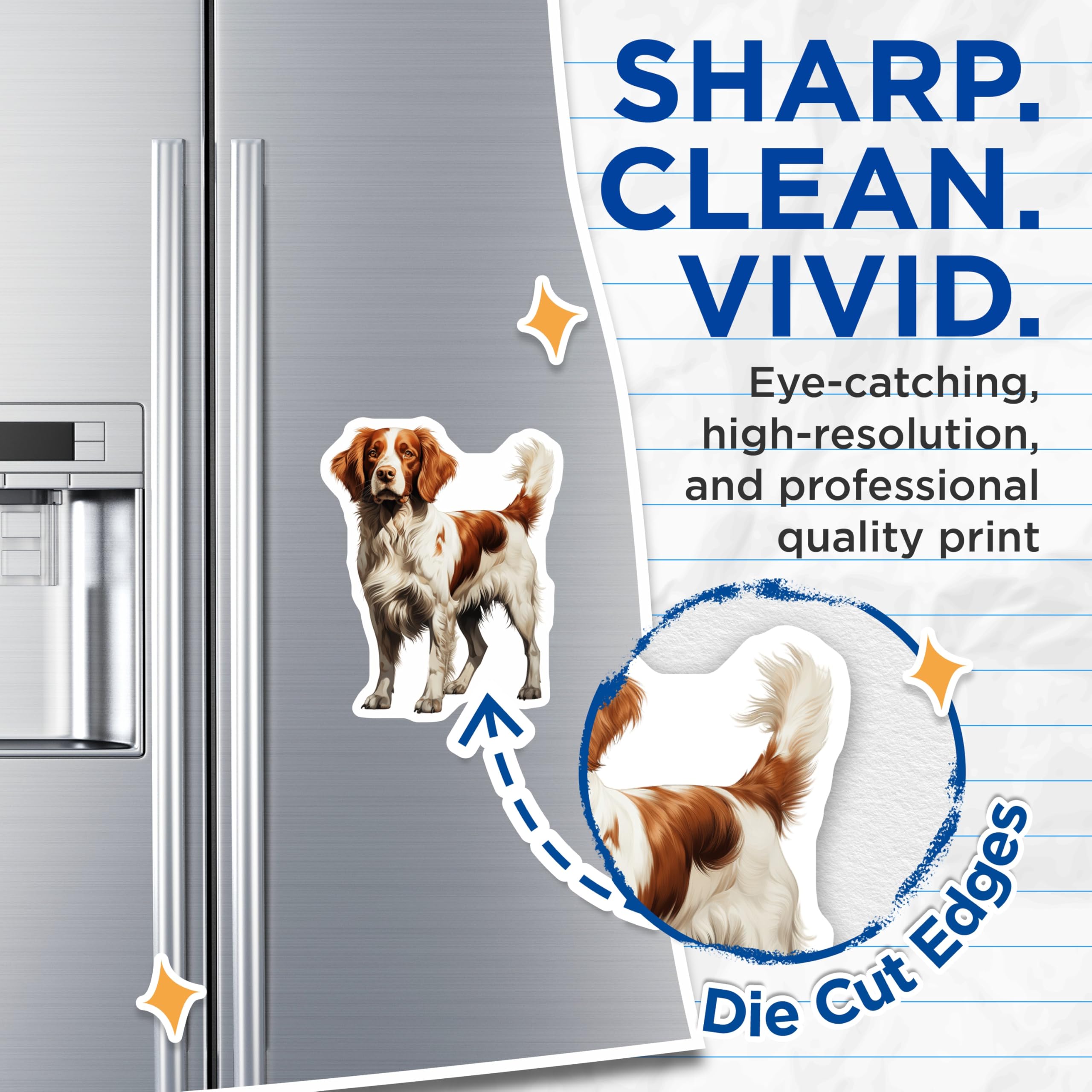 (2 Pack) Brittany Spaniel Magnets - Dog Lover Decor - Canine Breed Collectible - 5 Inches On Longest Side - Thick Durable Magnet - Made in USA - MAG24743