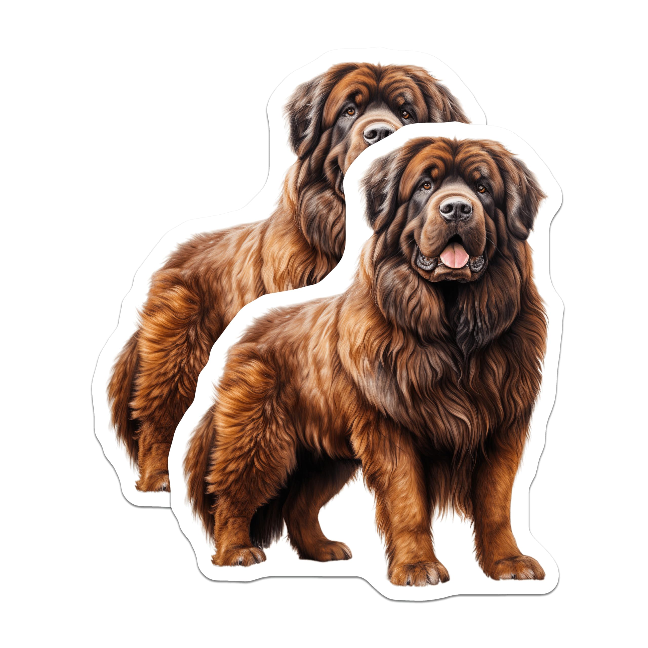(2 Pack) Newfoundland Dog Magnets - Brown Newfie Lover - Large Breed Pet Owner Decor - 5 Inches On Longest Side - Thick Durable Magnet - Made in USA - MAG25260