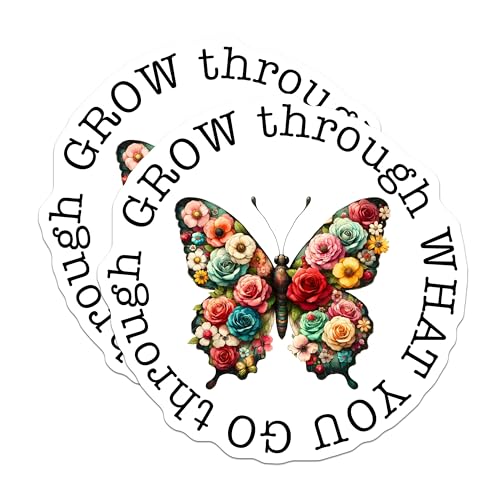 (2 Pack) Inspirational Butterfly Stickers - Motivational Quote - Colorful Flower Art - 5" On Longest Side - Sticks to Smooth Flat Surfaces - Made in USA - BMCS9741